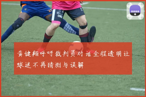 黄健翔呼吁裁判员对话全程透明让球迷不再猜测与误解