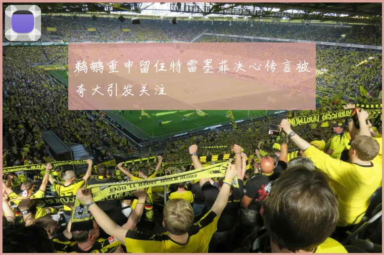 鹈鹕重申留住特雷墨菲决心传言被夸大引发关注